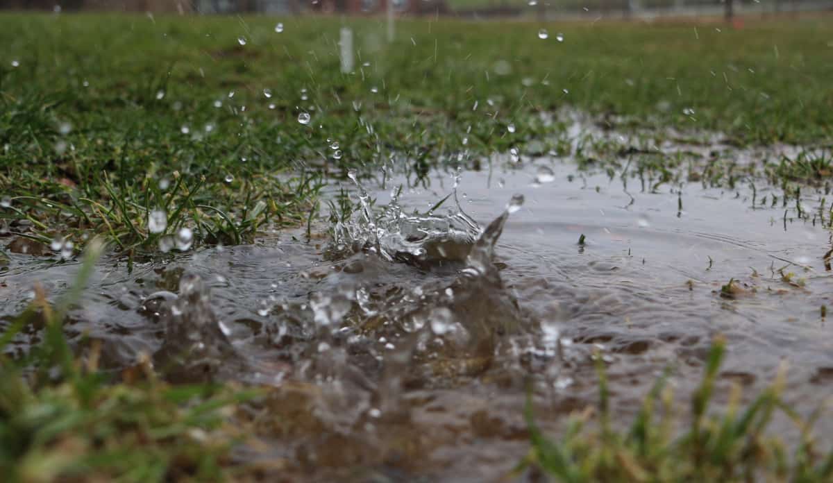 Why Your Yard Has Standing Water, And How To Remove It Backyard Sidekick