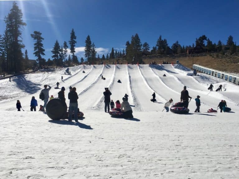 How Does Friction Affect Sledding? Make the Most of It Backyard Sidekick
