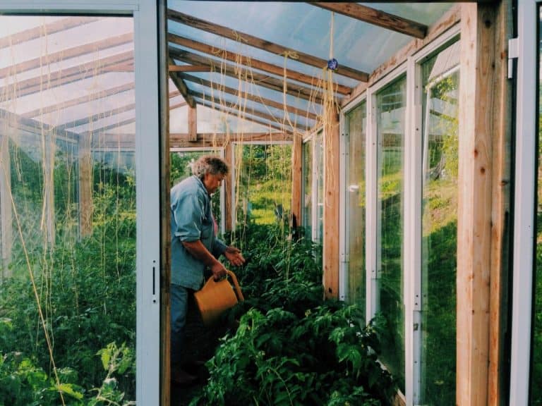 Does Your Greenhouse Need a Fan? Backyard Sidekick