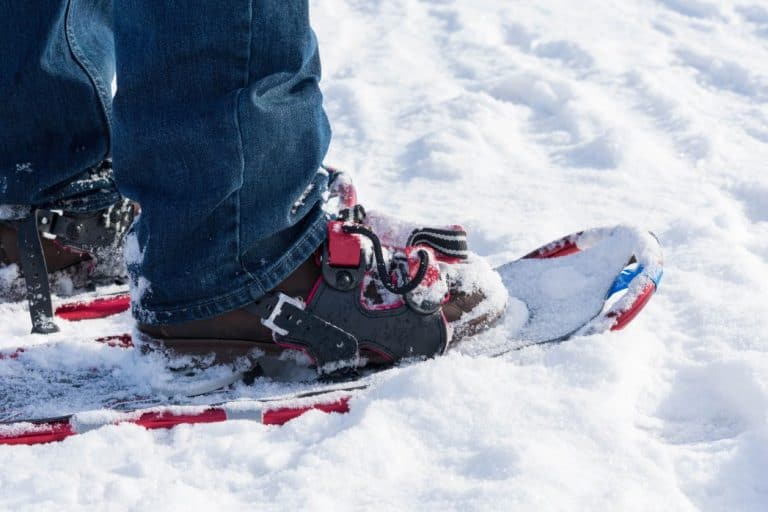 What Shoes To Wear Snowshoeing? Complete Guide Backyard Sidekick
