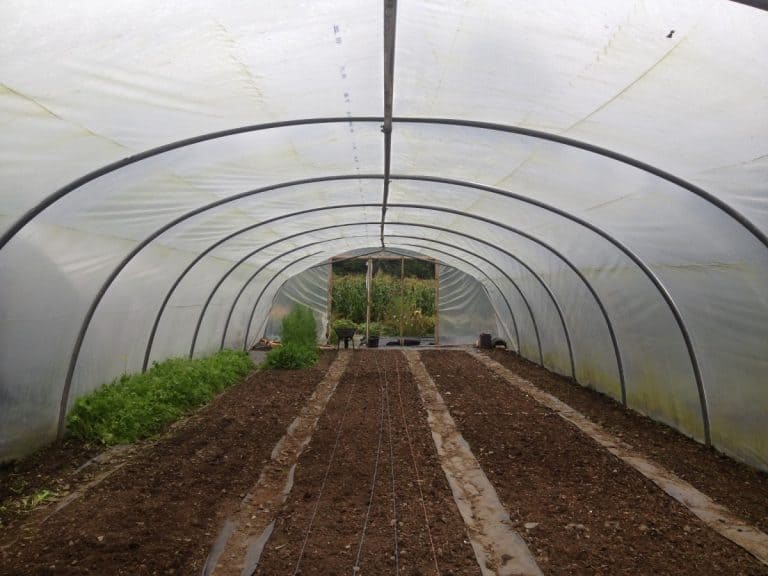 How to Stretch Greenhouse Plastic? A Step By Step Guide Backyard Sidekick