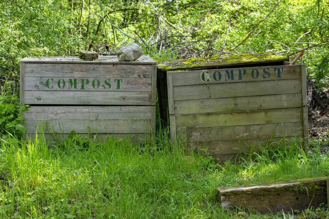 What Can Compost Be Used For? Top 10 Compost Uses Backyard Sidekick