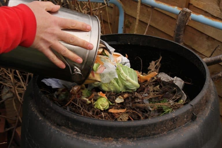 Does Compost Need Air? Compost Bins and Air Holes Backyard Sidekick