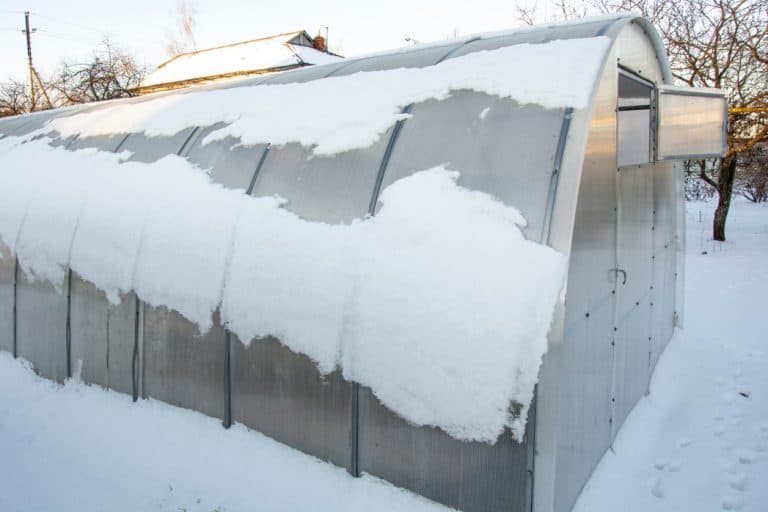 The Three Best Greenhouse Kits For Heavy Snow Backyard Sidekick