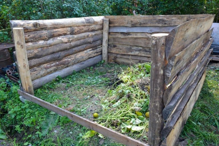 Does Compost Help Grass Grow How To Guide Backyard Sidekick