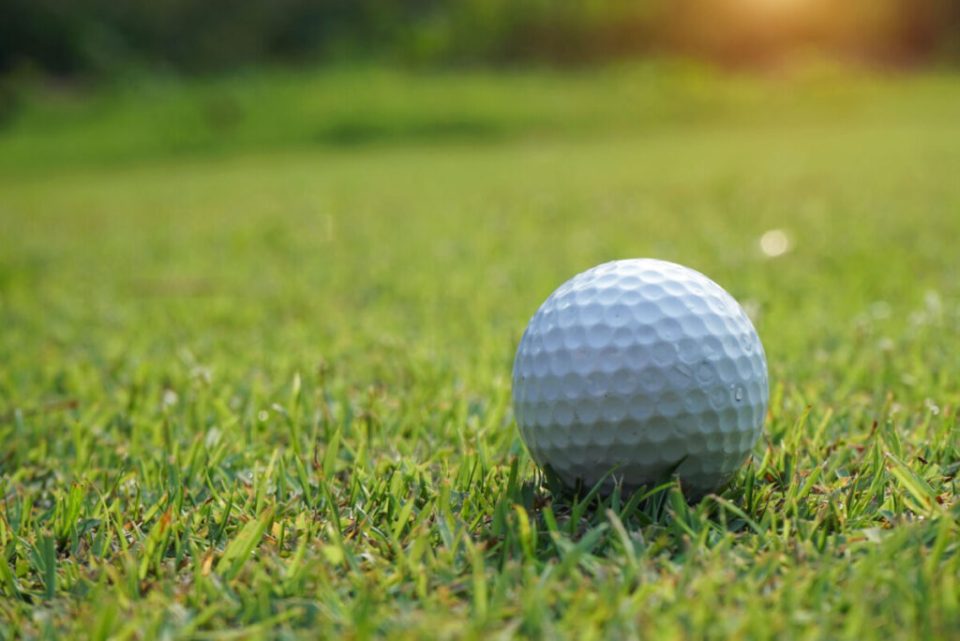 Do Softer Golf Balls Go Farther? Best Golf Ball for Distance Backyard Sidekick