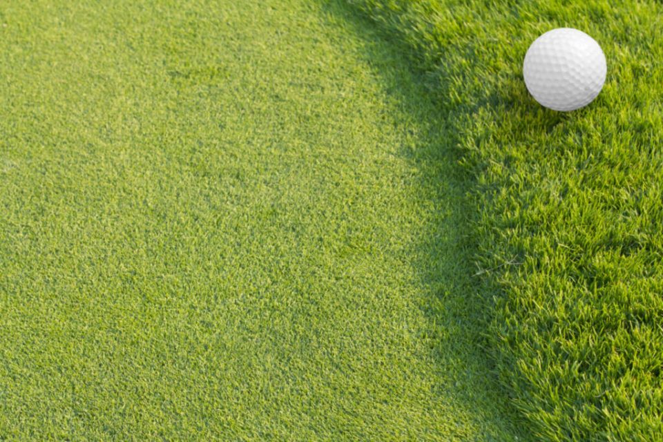 Do Softer Golf Balls Go Farther? Best Golf Ball for Distance Backyard