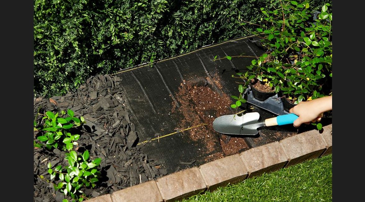 Does Weed Barrier How Long Weed Barrier Lasts Backyard