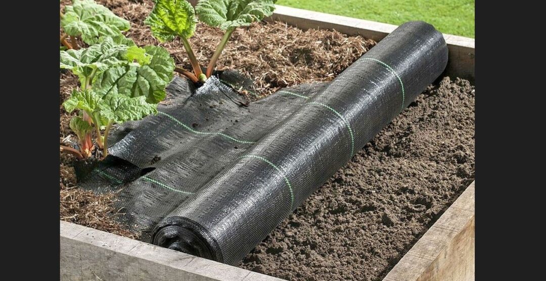 Does Weed Barrier Go on Top of Soil? What Goes on Weed Barrier