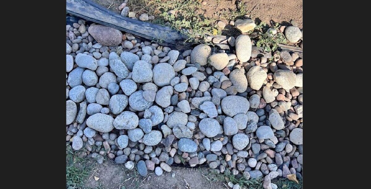 Can You Put Landscape Fabric Over Rocks? What to Know First Backyard