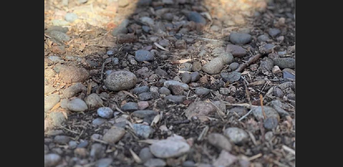 How To Seal Landscape Rocks the Right Way Backyard Sidekick